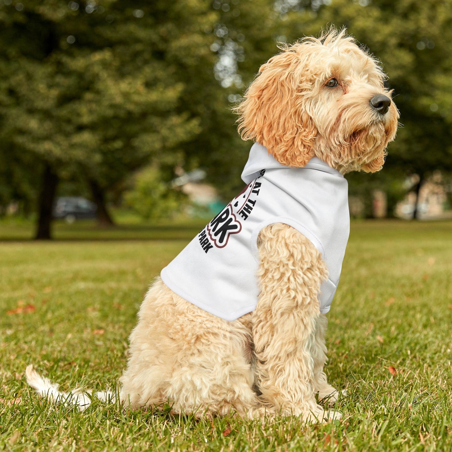 What Happens At The Dog Park Pet Hoodie