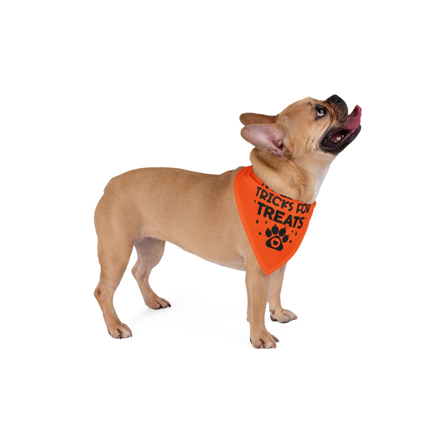 Will Do Tricks For Treats Pet Bandana